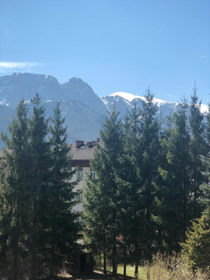 Apartamento Vektron Zakopane Exterior foto